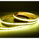 LED No Dot RGB Tape Light 16 Feet Long - 24V - 12mm Width - RGBW 3000K/4000K/6500K