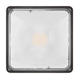 Canopy Light - OBCP03