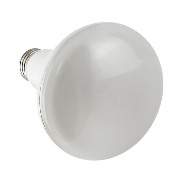 BR30 Indoor Decorative Lighting - Dimmable - 11W