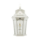 LED Outdoor Wall Lantern 12.5W White