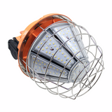 LED Temporary Work Light 100W