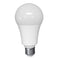 LED A21 22W Bulb High Output